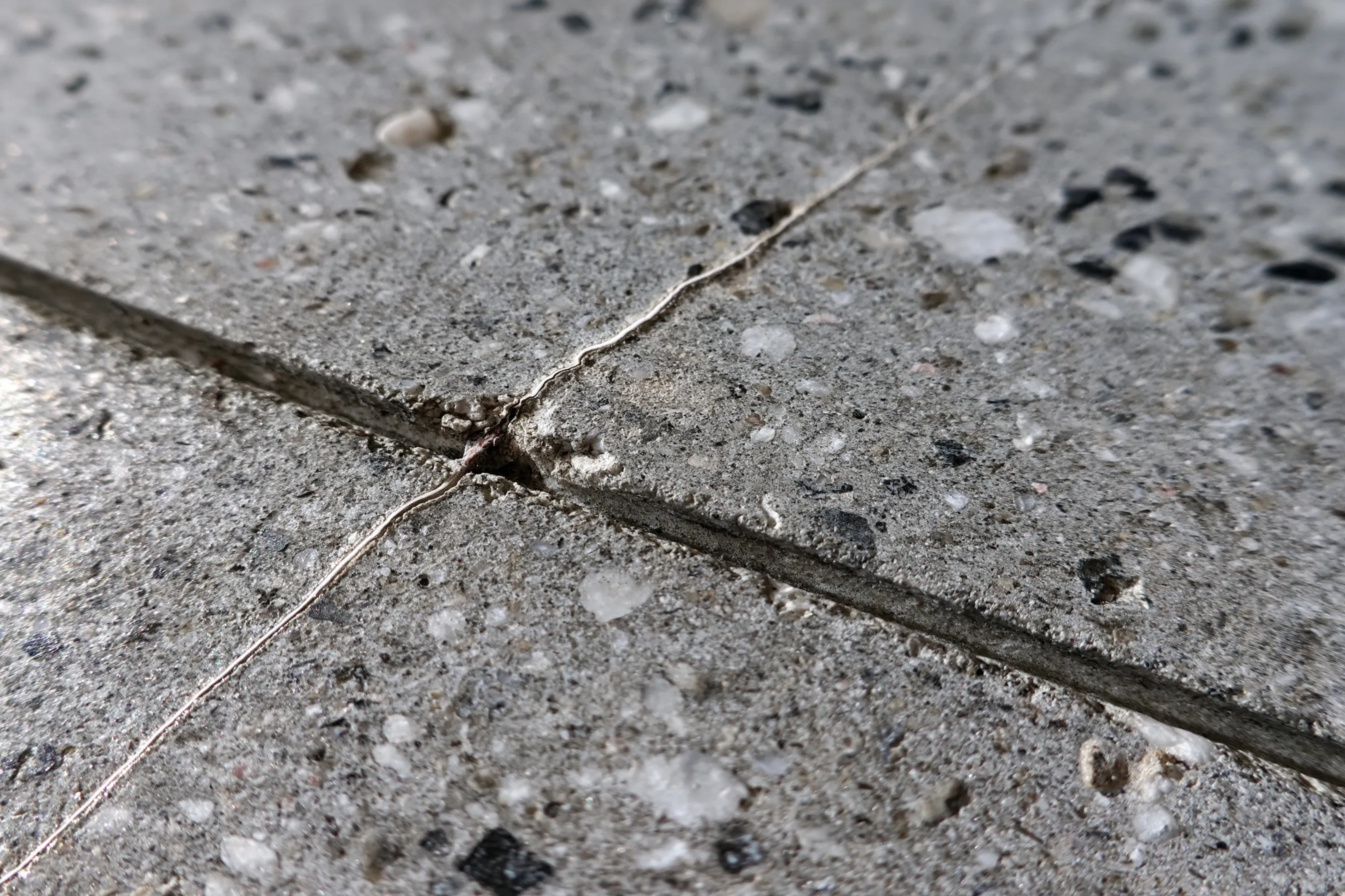 Close-up of salt-and-pepper polished concrete with small light and dark aggregate flecks, a tiny hairline crack and a saw-cut joint across the frame